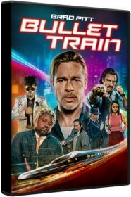Bullet Train 2022 BluRay 1080p DTS AC3 x264-MgB