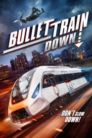 Bullet Train Down 2022 1080p BRRIP x264 AAC<span style=color:#39a8bb>-AOC</span>
