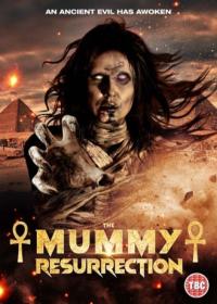 The Mummy Resurrection 2022 1080p WEBRip x264 AAC<span style=color:#39a8bb>-AOC</span>