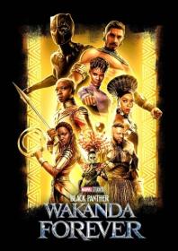 Black Panther Wakanda Forever 2022 ESub HDRip x264 AAC <span style=color:#39a8bb>- QRips</span>