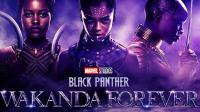 Black Panther Wakanda Forever 2022 1080p BDRIP x264 AAC<span style=color:#39a8bb>-AOC</span>