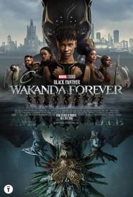 Black Panther - Wakanda Forever (2022) FullHD 1080p ITA AC3 ENG DTS+AC3 Subs