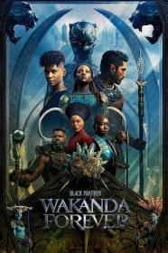 Black Panther Wakanda Forever 2022 BDRip 1080p_от New<span style=color:#39a8bb>-Team</span>