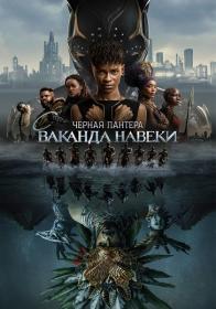 Black Panther Wakanda Forever 2022 DUAL WEBRip x264<span style=color:#39a8bb> ExKinoRay</span>