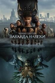 Black Panther Wakanda Forever (2022) IMAX WEB-DL 2160p HDR DV Theseus
