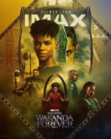Black Panther Wakanda Forever 2022 2160p IMAX WEB-DL DDP 7 1 Atmos DoVi by DVT