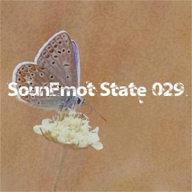 VA - SounEmot State 029 (2023) MP3