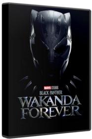 Black Panther Wakanda Forever 2022 BluRay 1080p DTS AC3 x264-MgB