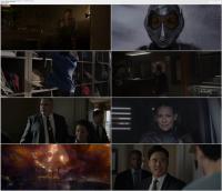 Ant-Man And The Wasp (2018) 2160p HDR 5 1 - 2 0 x265 10bit Phun Psyz