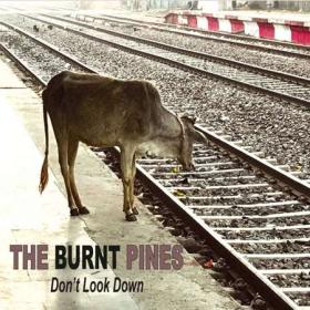 The Burnt Pines - Don't Look Down (2023) FLAC