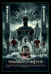 Black Panther Wakanda Forever 2022 BDRip AVC Rip by HardwareMining R G<span style=color:#39a8bb> Generalfilm</span>