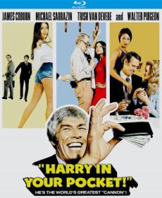Harry In Your Pocket 1973 BDRip 720p KNG