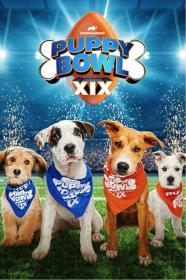 Puppy Bowl XIX (2023) [720p] [WEBRip] <span style=color:#39a8bb>[YTS]</span>