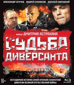 Sudba Diversanta 2020 RUS BDRip 747 МБ