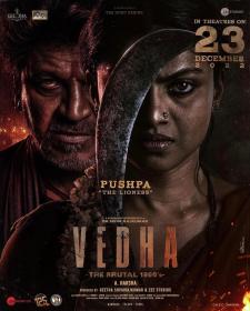 Vedha (2022) 720p WEBRip x264 AAC Dual Audio [ Hin,Kan ] ESub