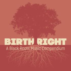 Various Artists - Birthright A Black Roots Music Compendium (2023) FLAC [PMEDIA] ⭐️