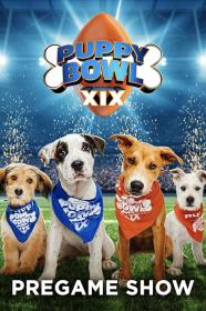 Puppy Bowl XIX Pregame Show (2023) [1080p] [WEBRip] <span style=color:#39a8bb>[YTS]</span>