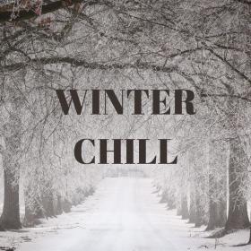 V A  - Winter Chill (2023 Pop) [Flac 16-44]