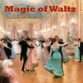 Magic of Waltz - 29 Classic Waltz Tracks From Famous Composers & Orchestras 2CD