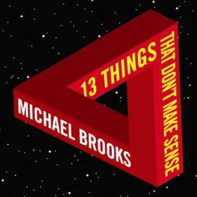 Michael Brooks - 13 Things That Don't Make Sense (2008)