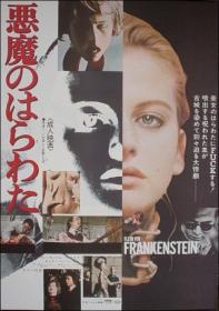 Flesh for Frankenstein 1973 BDREMUX 2160p HDR<span style=color:#39a8bb> seleZen</span>