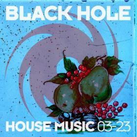 Various Artists - Black Hole House Music 03-23 (2023) Mp3 320kbps [PMEDIA] ⭐️