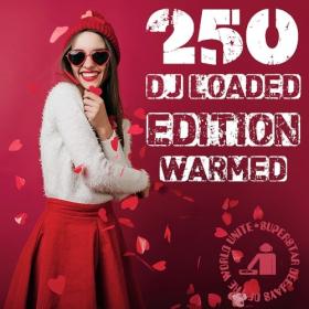 Various Artists - 250 DJ Loaded - Edition Warmed (2023) Mp3 320kbps [PMEDIA] ⭐️