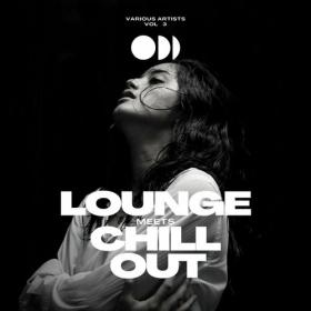 VA - Lounge Meets Chill Out, Vol  3 (2023) MP3
