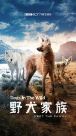 【高清剧集网 】野犬家族[第03集][中文字幕] Dogs in the Wild_ Meet the Family 2022 1080p WEB-DL H264 AAC-Huawei