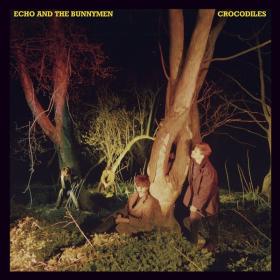 Echo And The Bunnymen - Crocodiles (1980 Post-Punk Pop) [Flac 24-96]