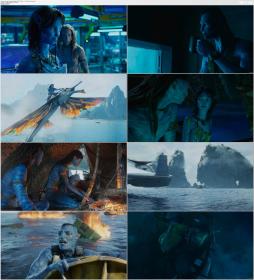Avatar The Way Of Water (2022) 1080p 5 1 - 2 0 x264 Phun Psyz