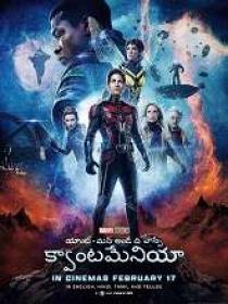 Ant-Man and the Wasp Quantumania (2023) Telugu WEBRip x264 - HQ Line - 400MB