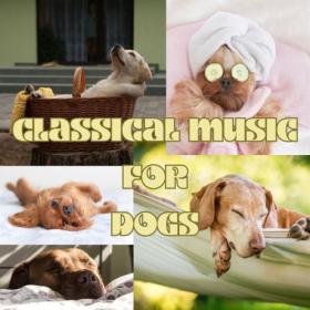 Various Artists - Classical Music for Dogs (2023) Mp3 320kbps [PMEDIA] ⭐️