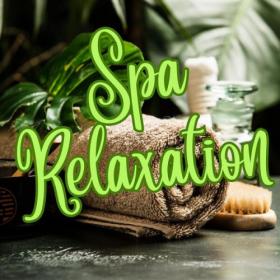 Various Artists - Spa Relaxation (2023) Mp3 320kbps [PMEDIA] ⭐️