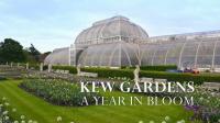 Ch5 A Year in Kew Gardens 1080p HDTV h266 AAC MVGroup Forum