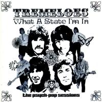 Tremeloes - What a State I'm In The Psych-Pop Sessions (2003)⭐FLAC