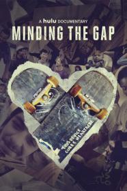 Minding the Gap (2018) (with commentaries) 720p 10bit BluRay x265-budgetbits