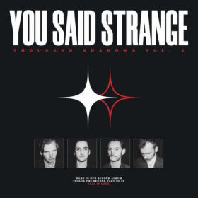 You Said Strange - Thousand Shadows Vol 2 (2023) [24Bit-96kHz] FLAC [PMEDIA] ⭐️