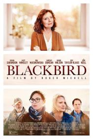 【高清影视之家首发 】黑鸟[中文字幕] Blackbird 2020 BluRay 1080p DTS-HDMA 5.1 x265 10bit<span style=color:#39a8bb>-DreamHD</span>