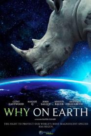 Why On Earth (2022) [1080p] [BluRay] <span style=color:#39a8bb>[YTS]</span>