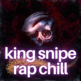 Various Artists - king snipe rap chill (2023) Mp3 320kbps [PMEDIA] ⭐️