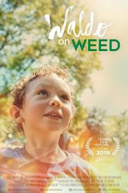 Waldo On Weed (2019) [720p] [WEBRip] <span style=color:#39a8bb>[YTS]</span>