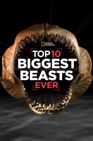 Top 10 Biggest Beasts Ever (2015) [1080p] [WEBRip] [5.1] <span style=color:#39a8bb>[YTS]</span>