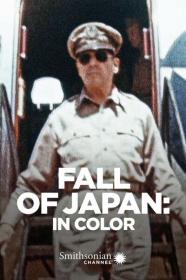 Fall Of Japan In Color 2015 1080p WEBRip x264-LAMA[TGx]