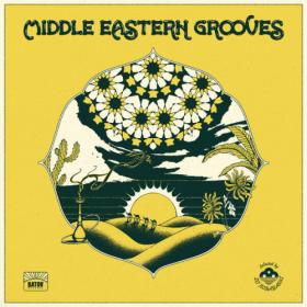 Various Artists - Middle Eastern Grooves (Selected by DJ Kobayashi) (2023) [24Bit-44.1kHz] FLAC [PMEDIA] ⭐️
