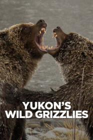 Yukons Wild Grizzlies (2021) [1080p] [WEBRip] <span style=color:#39a8bb>[YTS]</span>