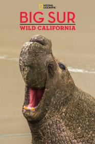 National Geographic Explorer Big Sur-Wild California (2010) [720p] [WEBRip] <span style=color:#39a8bb>[YTS]</span>