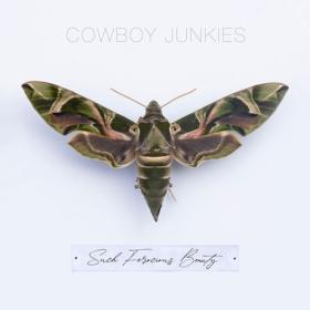 Cowboy Junkies - Such Ferocious Beauty (2023) [24Bit-44.1kHz] FLAC [PMEDIA] ⭐️