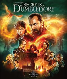 Fantastic Beasts The Secrets Of Dumbledore (2022) 1080P 10Bit BluRay H265 HEVC DDP5.1 [HINDI + ENG] ESUB ~ SHB931