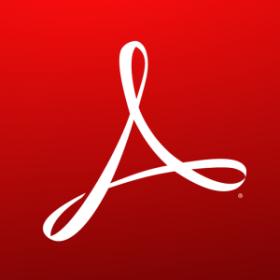 Adobe Acrobat Pro DC 2023.003.20201 (x64) + Patch